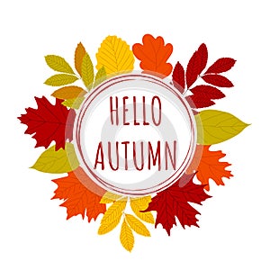 Hello autumn circle frame. Hand drawn different colored fall leaves border. Orange yellow red green maple oak leaves