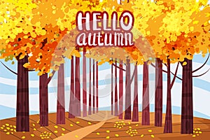 Hello autumn color illustration. In park postcard design. Open air outdoor walk. Early fall landscape cartoon banner