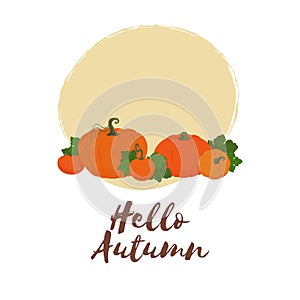 Hello autumn composition with pumpkins and leaves on a white background. Thanksgiving or Halloween decoration. Greeting card,