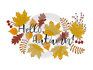 Hello Autumn concept. Autumn background with leaves of maple, oak, birch and other trees