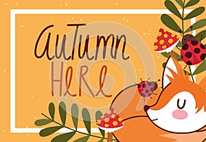 Hello autumn, cute fox ladybugs mushroom leaves decoration banner