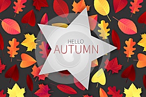 Hello autumn design concept with red and orange tree leaves on grey background and typography text on a star shape.