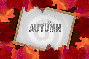 Hello autumn design concept. Typography text on whiteboard in wooden frame and maple leaves