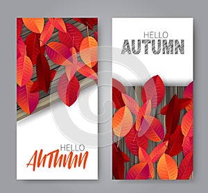 Hello autumn flyer or vectical banner design set. Red and orange tree leaves on wooden brown board