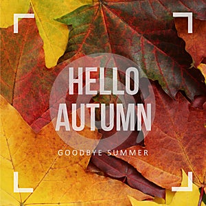 Hello autumn, goodbye summer