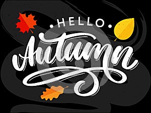Hello, Autumn. Goodbye, Summer. The trend calligraphy. Vector illustration on the background of autumn leaves. Concept