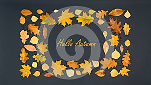 Hello Autumn. Greeting card. Rectangular frame of beautiful autumn yellow and brown maple, oak and birch leaves. Black background