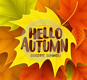 Hello autumn greetings vector design with yellow maple leaf