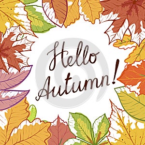Hello autumn hand draw banner