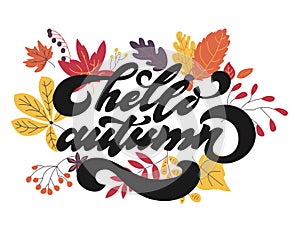 Hello autumn. Hand drawn calligraphy and brush pen lettering. design for holiday greeting card and invitation of seasonal autumn h photo