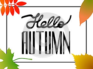 Hello autumn! Hand drawn different colored autumn leaves. Sketch, frame, design elements. Gift card layout. Vector