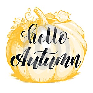 Hello autumn hand lettering phrase. Black and white