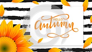 Hello autumn hand lettering word with sunflower and petals