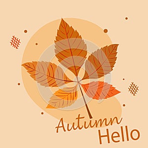 Hello autumn illustration. Autumn fall concept with chestnut leaf and quote - Hello Autumn. Typography retro colors