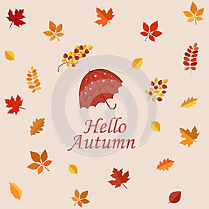 Hello autumn illustration. Autumn fall concept with yellow and red leaves and umbrella. Typography design. Stock vector