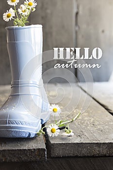 Hello autumn Inspirational Quote, daisy and boots.