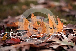 Hello autumn, leaf with the inscription, beautiful autumn colors