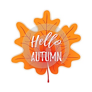 Hello autumn on maple leaf background. Vector autumn season banner. Greeting card with welcome inscription