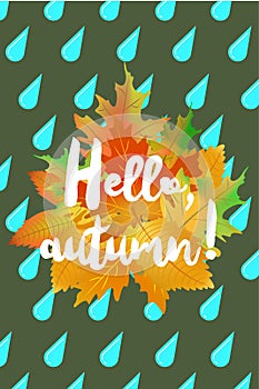 Hello autumn poster with drops of rain and fallen leaves on green background.