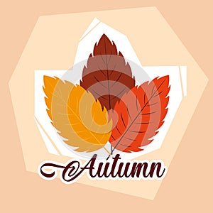 hello autumn poster with set leafs