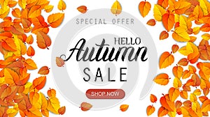 Hello autumn sale lettering banner. Special offer discount poster with fall golden leaves frame. Autumn seasonal design
