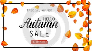 Hello autumn sale lettering banner. Special offer discount poster with fall golden leaves. Autumn seasonal design