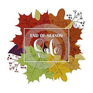 Hello Autumn Sale text poster of September leaf fall or autumnal foliage of maple, oak acorn and elm for shopping sale