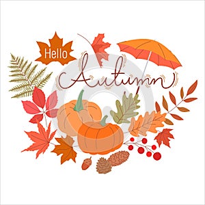hello autumn seasonal decorated vector illustration