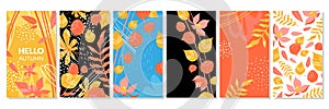 Hello autumn set of vector social media banners or covers with floral elements. Branches, leaves, physalis fruits and hand drawn