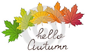 Hello autumn text. Banner decorated with maple leaves of different colors.