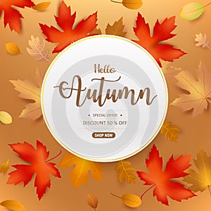 Hello Autumn text in circle frame with dry leaf