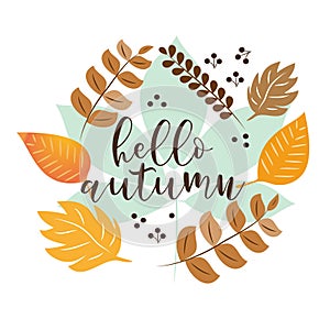 Hello autumn text, with colorful leaves wreath, on white backgrond.