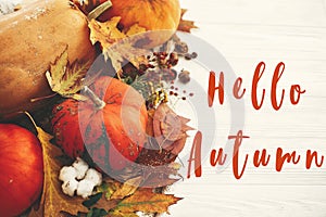 Hello Autumn text, fall greeting sign on pumpkins with fall leaves, cotton, cinnamon, anise, acorns, nuts, berries, autumn flowers