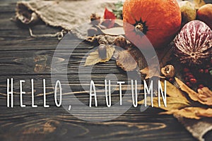 Hello Autumn Text. Hello Fall sign on beautiful Pumpkin, autumn