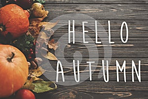 Hello Autumn Text. Hello Fall sign on pumpkin, autumn vegetables