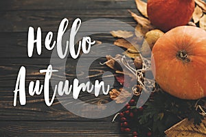 Hello Autumn Text. Hello Fall sign on pumpkin, autumn vegetables