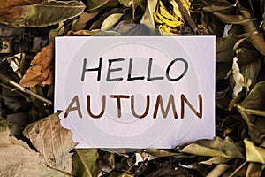 Hello Autumn text on white paper note overdried, autumn leaves