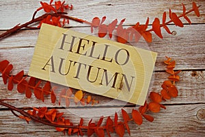 Hello Autumn text on wooden board with orange leaves decorate on wooden background