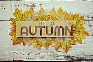 Hello Autumn text on wooden planks decorated with maple leaves on wooden background