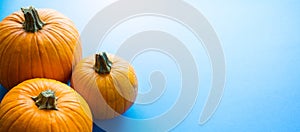 Hello autumn; thanksgiving holiday party background with autumn pumpkin on blue background