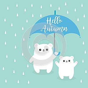 Hello autumn. Two polar white small little bear cub holding umbrella. Rain drops. Cute cartoon baby character. Arctic animal colle