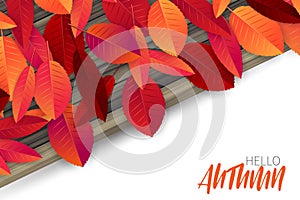 Hello autumn vector illustration. Fall background concept for advertisement, invitation, promotion, offer, discount.