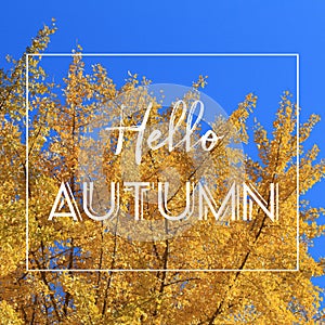 Hello autumn web banner