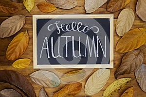 Hello Autumn white chalk lettering on blackboard. Autumn seasonal flat lay photo on wooden background.