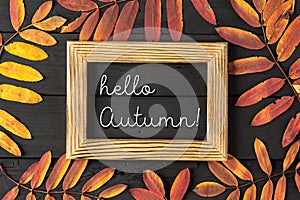 Hello Autumn white chalk lettering on blackboard. Concept of the fall season