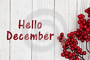 Hello December text with red berry branch