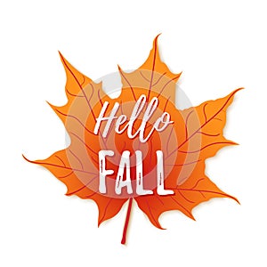 Hello fall banner. Vector illustration