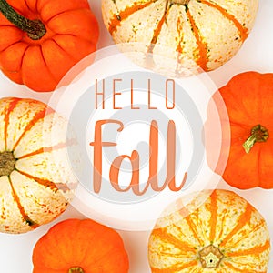 Hello Fall greeting card with frame of pumpkins over white