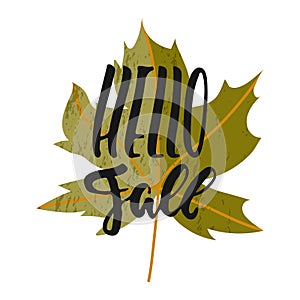 Hello fall - hand drawn Seasons greeting positive lettering phrase isolated on the white background. Fun brush ink