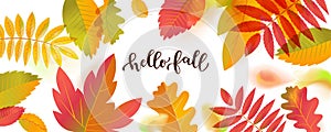 Vector Hello Fall Sale horizontal promotion banner. Bright warm colors design template. Vivid colorful autumn leaves with shadows